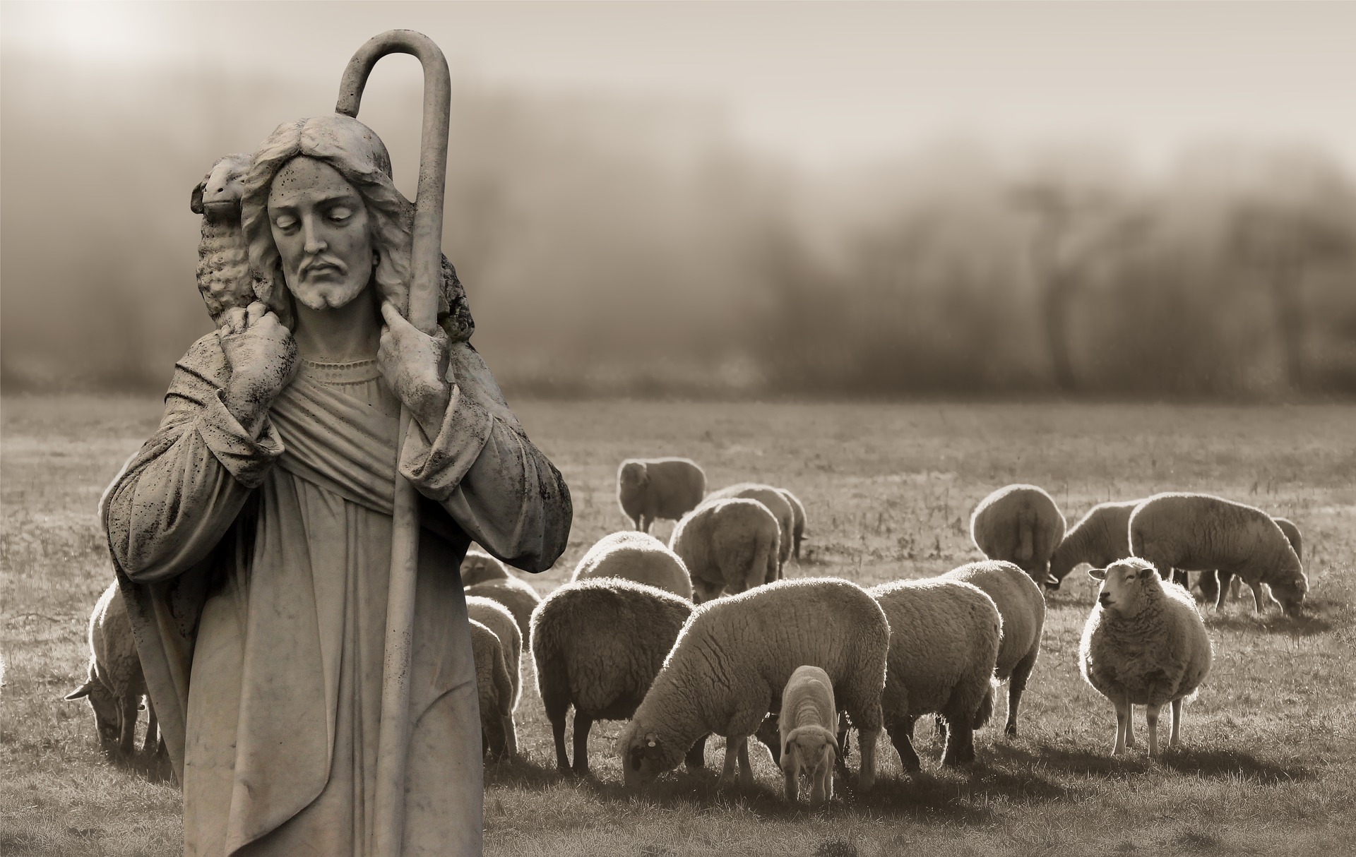 A picture of Jesus with sheep